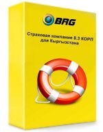 BRG:Страховая компания 8.3 КОРП для Кыргызстана